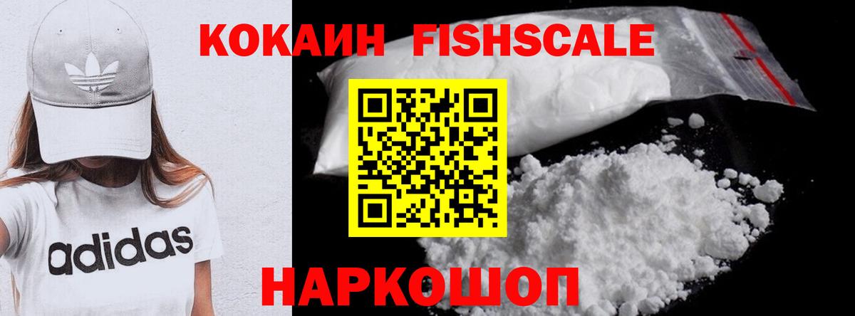 Cocaine Fish Scale  COCAIN 99%  Советская Гавань  Вход с VPN 
