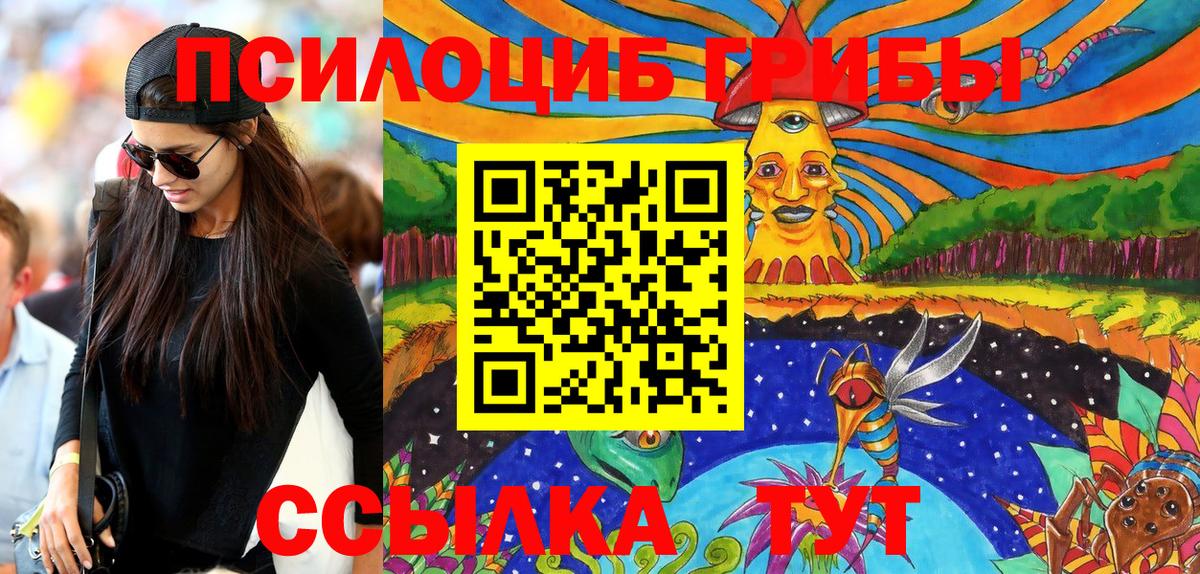Псилоцибиновые грибы Psilocybine cubensis  Вход с VPN  Советская Гавань 